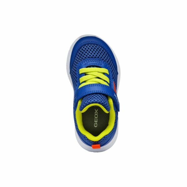 Geox Baby sneaker blu